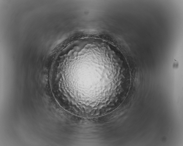 X0000112361301200908201454