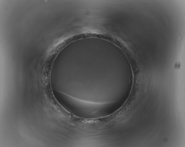 X0000112361303200908201454