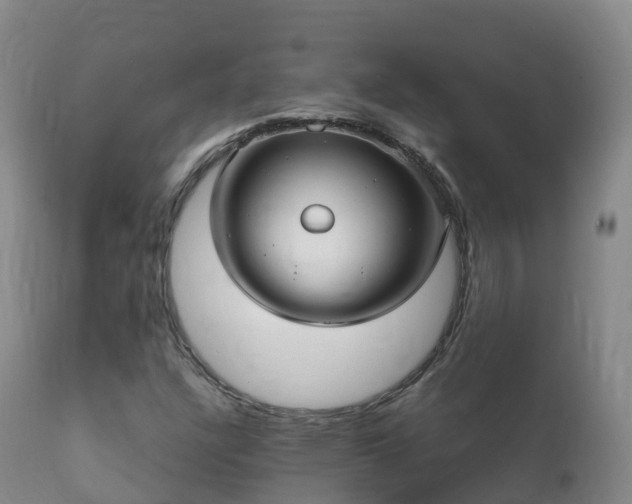 X0000112361304200908201454