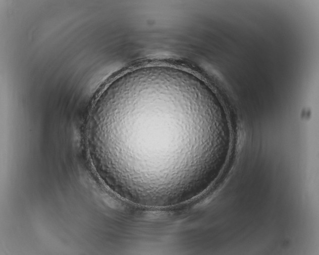 X0000112361305200908201454