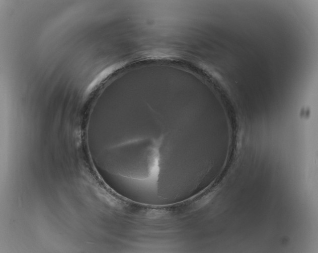 X0000112361306200908201454