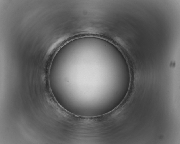 X0000112361307200908201454