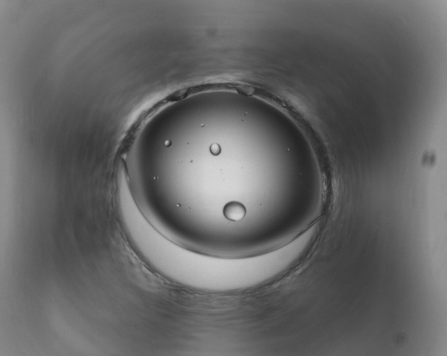 X0000112361308200908201454