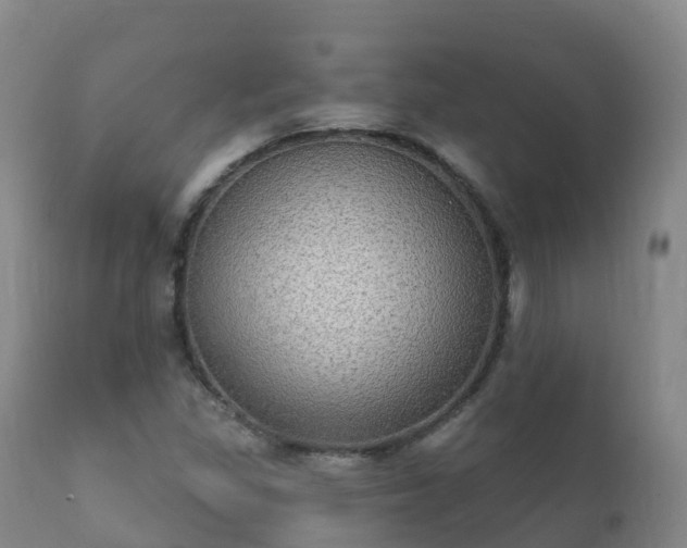 X0000112361309200908201454