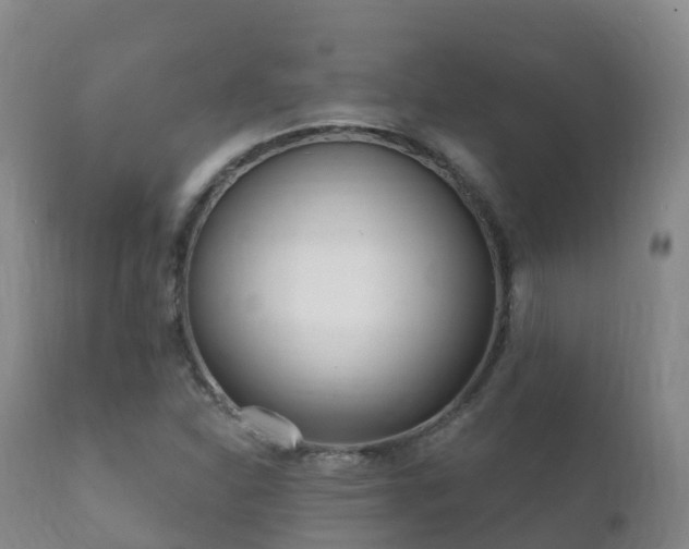 X0000112361310200908201454