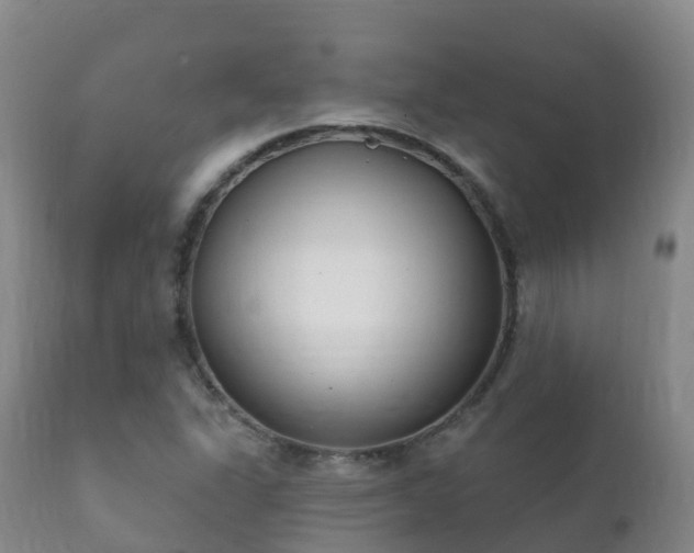 X0000112361311200908201454