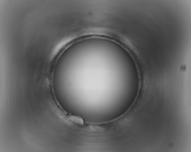 X0000112361312200908201454