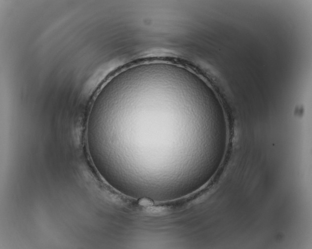 X0000112361313200908201454