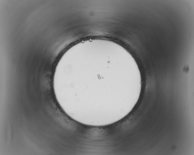 X0000112361314200908201454