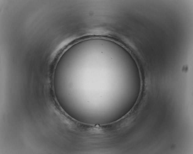 X0000112361315200908201454