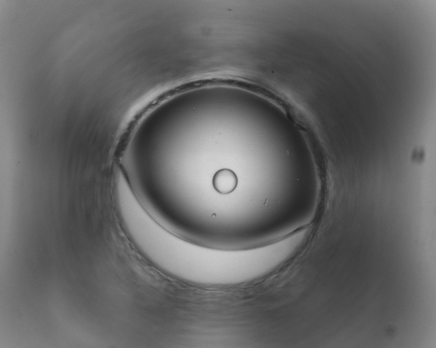 X0000112361316200908201454