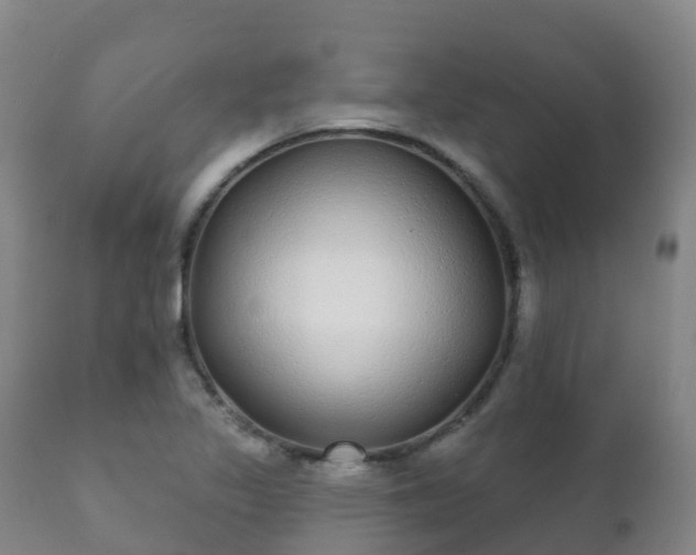 X0000112361317200908201454