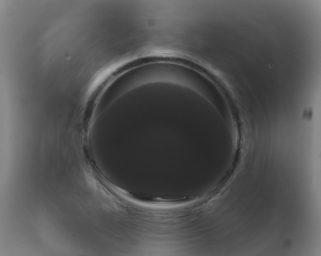 X0000112361319200908201454