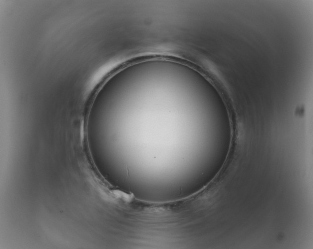 X0000112361320200908201454