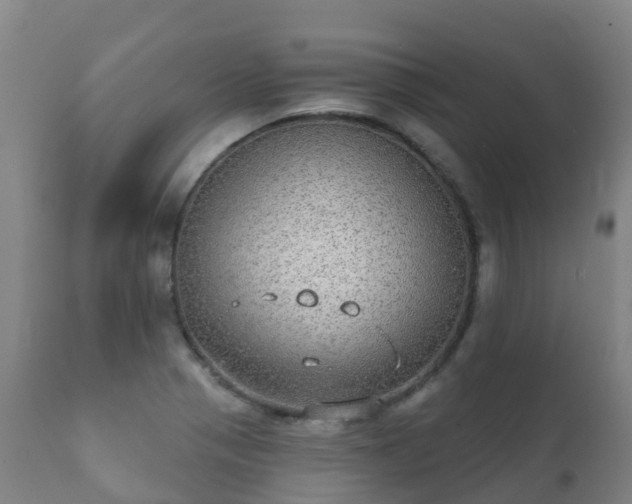 X0000112361321200908201454