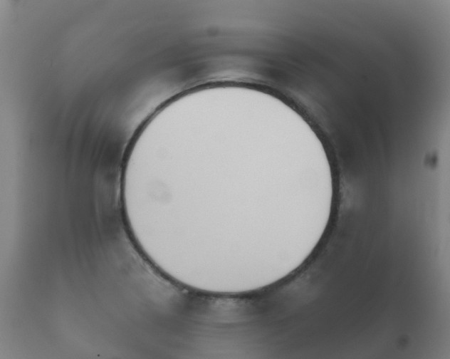 X0000112361322200908201454