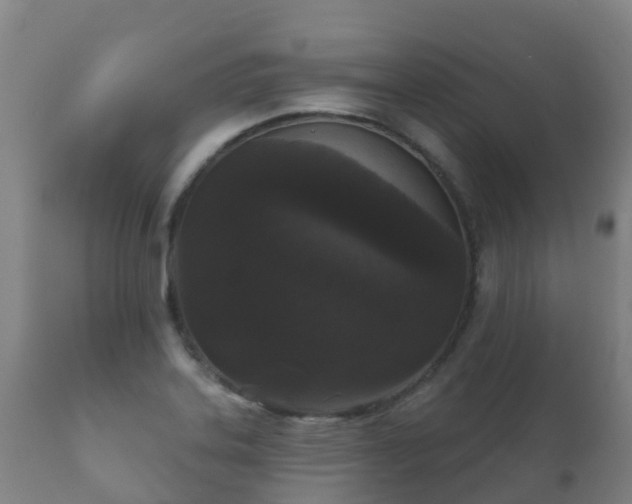 X0000112361323200908201454