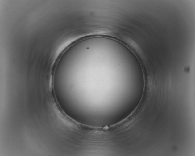 X0000112361324200908201454