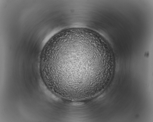 X0000112361325200908201454