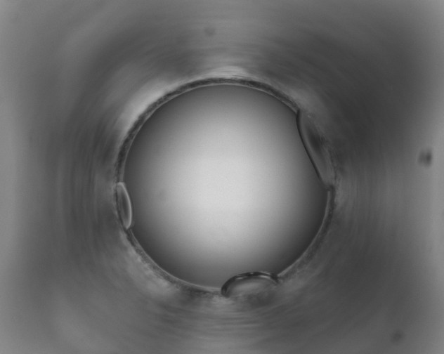 X0000112361326200908201454