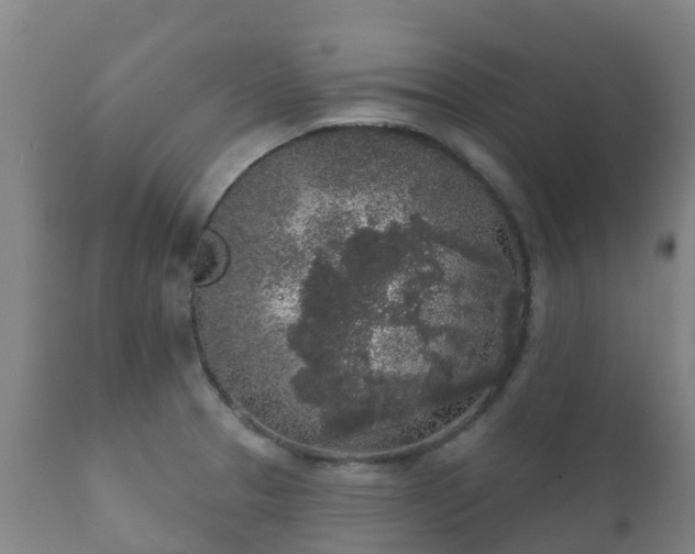 X0000112361329200908201454