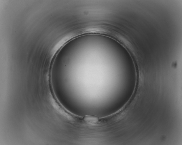 X0000112361330200908201454