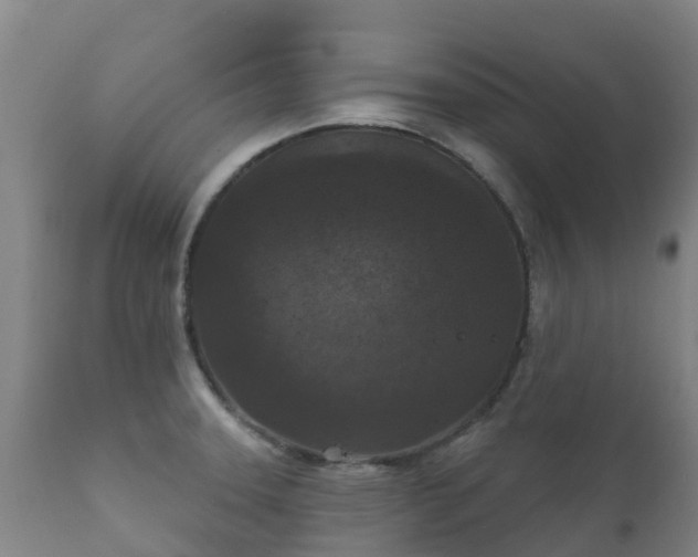 X0000112361331200908201454