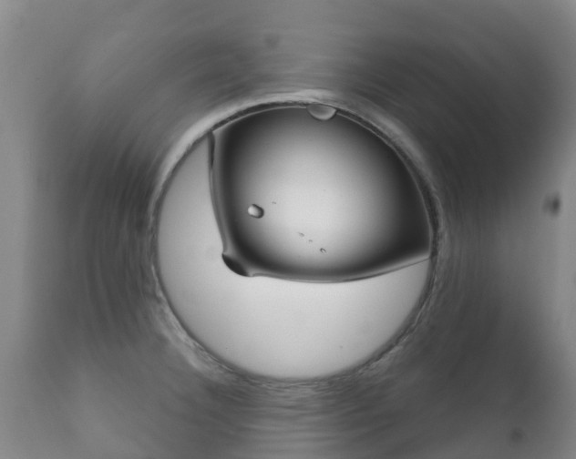 X0000112361332200908201454