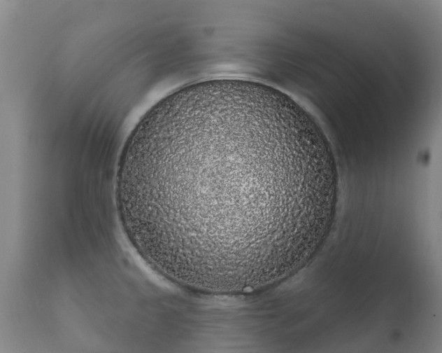 X0000112361333200908201454