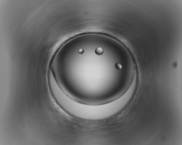 X0000112361334200908201454