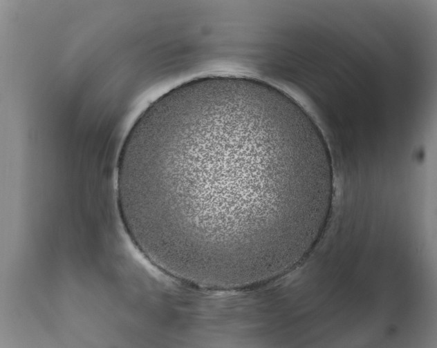 X0000112361335200908201454