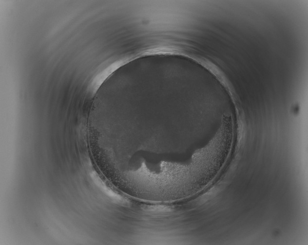 X0000112361337200908201454