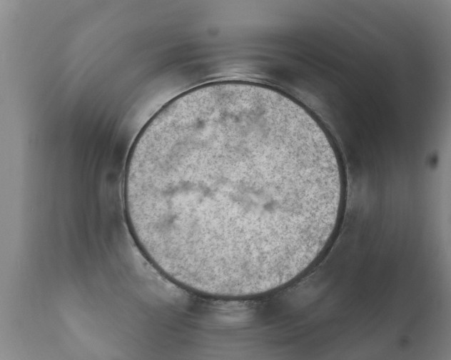 X0000112361338200908201454