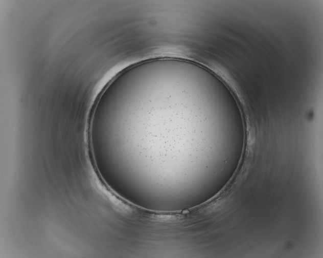 X0000112361339200908201454