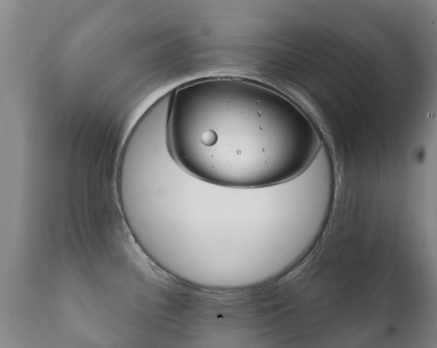 X0000112361340200908201454