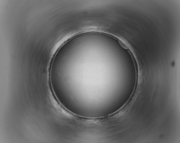 X0000112361341200908201454