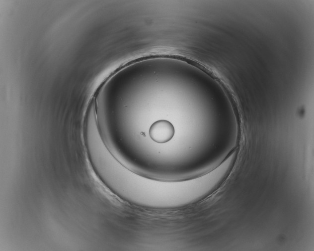 X0000112361342200908201454