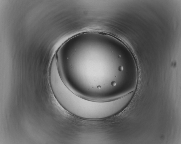 X0000112361344200908201454