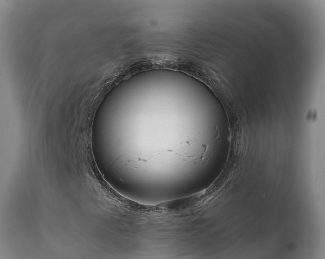 X0000112361345200908201454