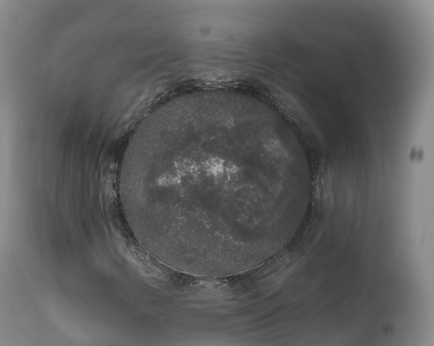 X0000112361346200908201454