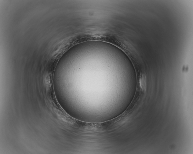 X0000112361347200908201454