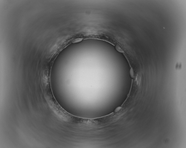 X0000112361348200908201454