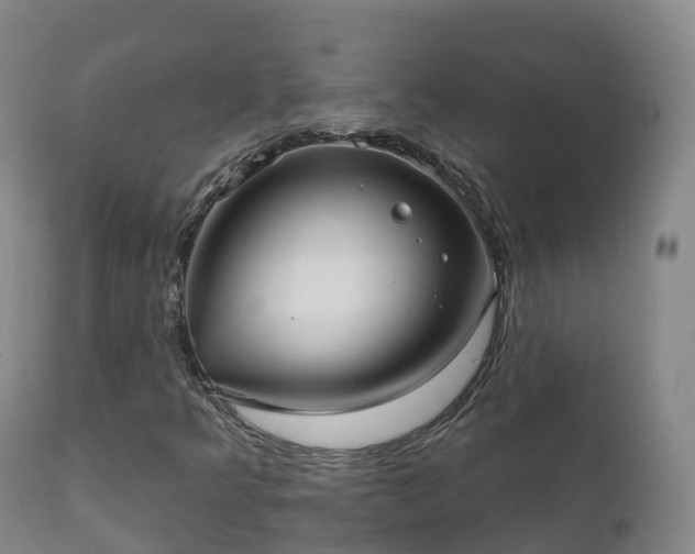 X0000112361349200908201454