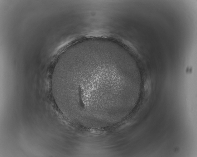 X0000112361350200908201454