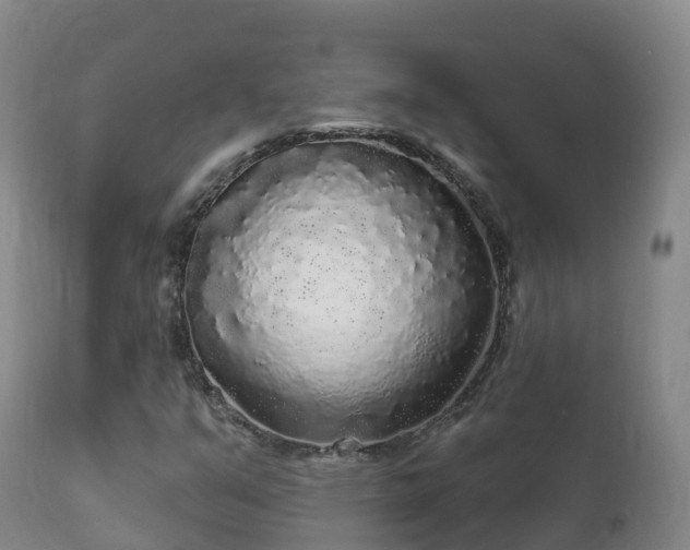 X0000112361351200908201454