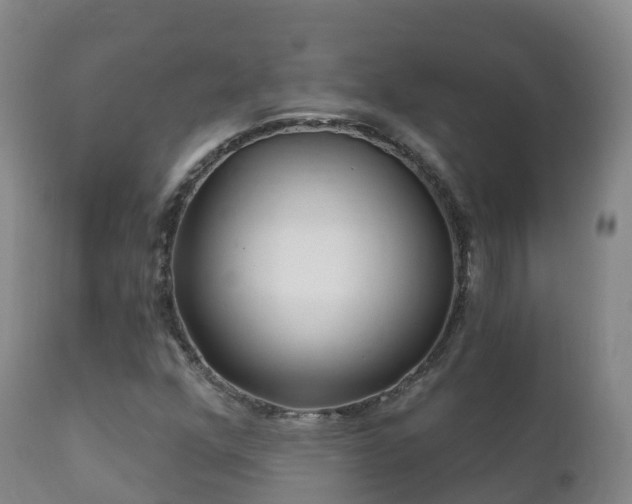 X0000112361352200908201453