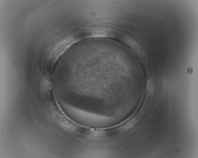 X0000112361353200908201453