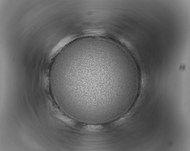 X0000112361354200908201453