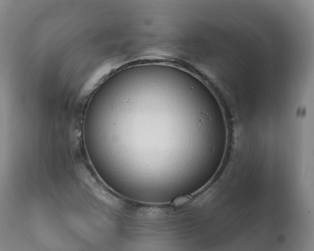 X0000112361355200908201453