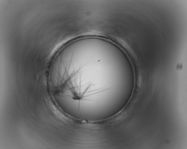 X0000112361356200908201453